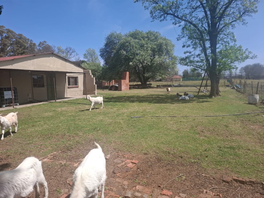 Commercial Property for Sale in Roodewal Free State